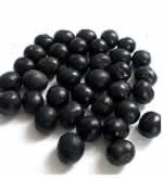 acai_termes.jpg