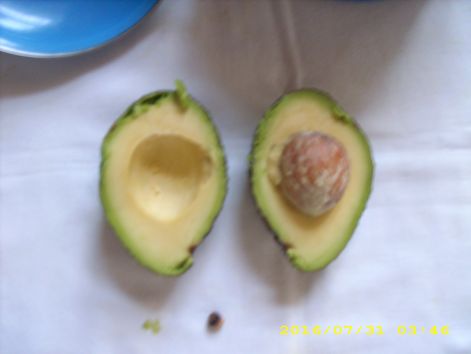 dsci0486.jpg