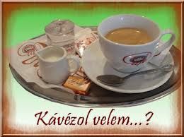 kavezz_velem.jpg