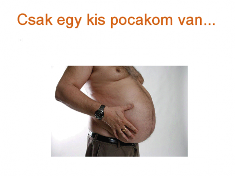 rvl_kis_pocak.png
