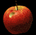 alma-kukac.gif